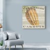 Trademark Fine Art Sue Schlabach 'Farm Fresh Carrots' Canvas Art, 24x24 WAP08140-C2424GG